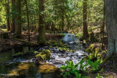 Picturesque Land with Creek Frontage