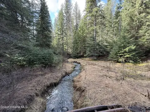 St. Maries Land with Creek