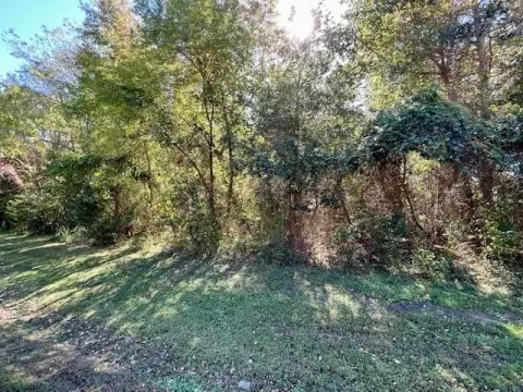Water Access Wooded Building Lot