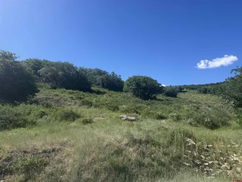 Elevated Golf Course Homesite