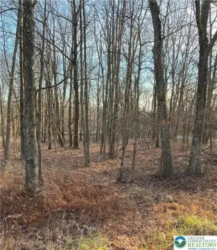 Residential Land in Mt Pocahontas