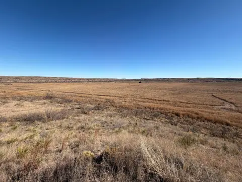 Recreational Hunting Land Tract