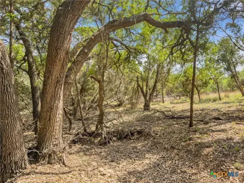 Land in Blanco, Texas