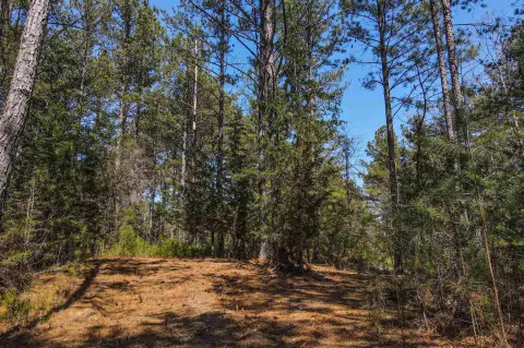 Pacolet Acreage with Stream