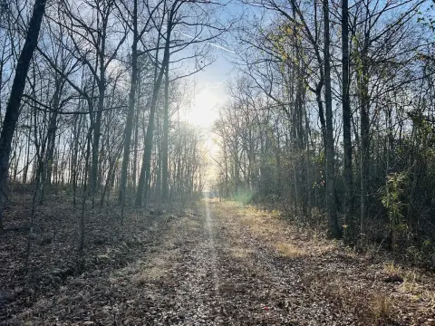 Taylor County Recreational Land For Sale