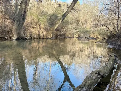 Bessemer Hunting and Recreational Land