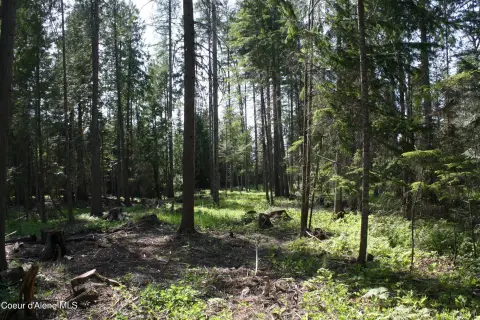 Clark Fork Buildable Land