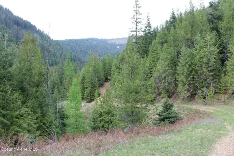 Recreational Land in National Forest