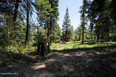 20 Acre Treed Parcel