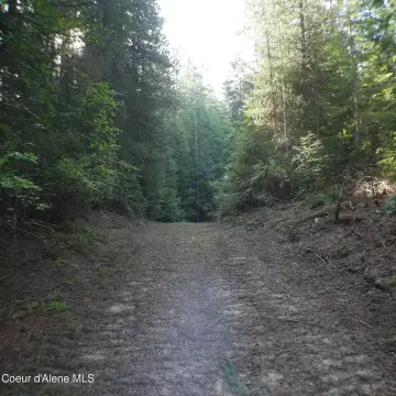 Fernwood, ID Timbered Land
