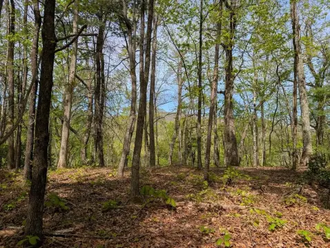 Unrestricted Land in Murphy, NC