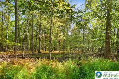 Wooded Lot in Stony Run