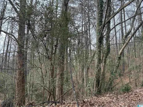 Residential Lot in Cherokee Brook