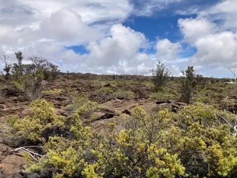 Ocean-View Land Parcel