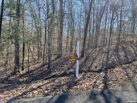 Diamante Subdivision Golf Course Lot