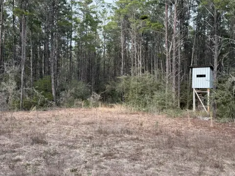 10 Acres Wooded Land Sanctuary