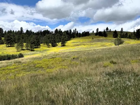 Recreational Land Tract with Shared Well