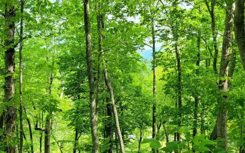 Hayesville, NC Vacant Lot