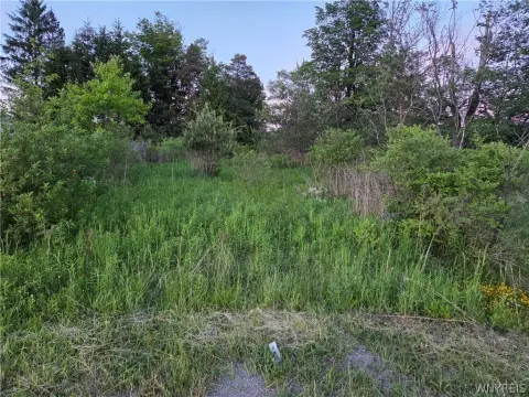 Mountain View Building Lot