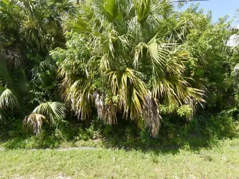 Port St. Lucie Canal-Front Lot