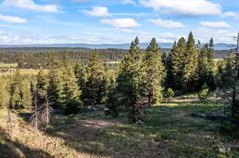 Wooded Mountain View Build Site