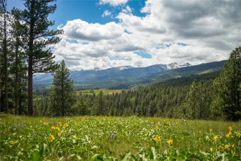 Montana Timberland with Mountain Views