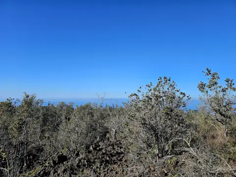 Ocean View Land Parcel