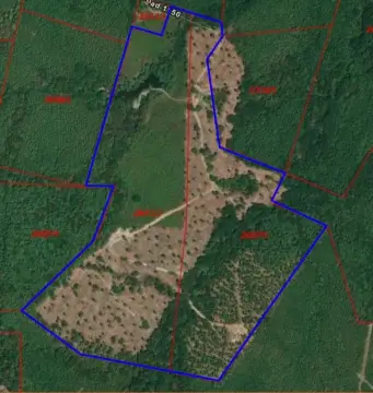 95+ Acre Timberland Tract
