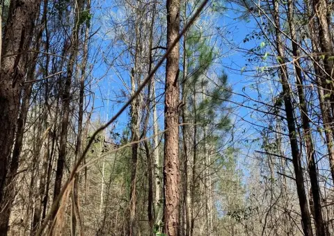 Grayson, LA Vacant Land Tract
