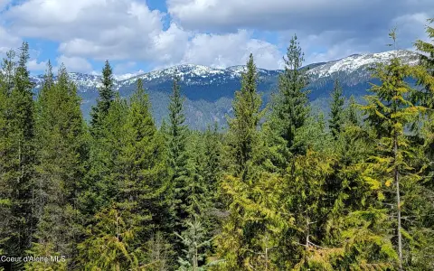 Wooded Land with Mountain Views