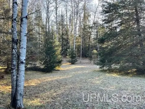 Acre Land Near National Forest