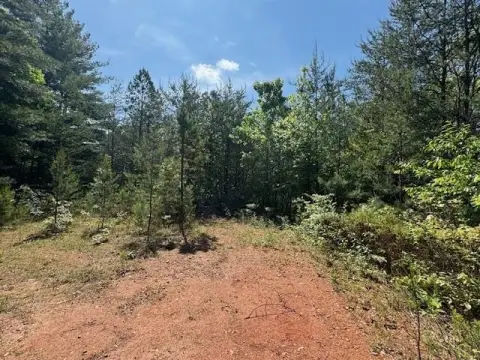 View Lot in Marble, NC