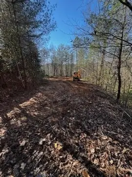 Residential Lot in Marble, NC