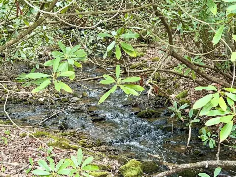Creekfront Lots Near Lake Nantahala