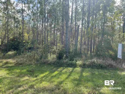 Commercial Land with Road Exposure