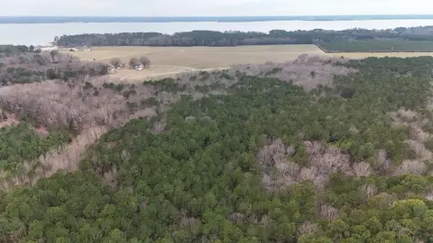 40+ Acre Wooded Recreational Land