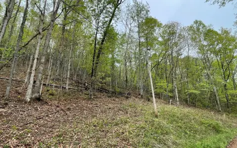 Hayesville, NC Wooded Lot