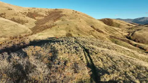 Idaho Hunting and Recreation Base