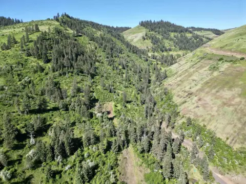Land with Mountain Views