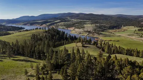 Helmville Land with Timber Rights