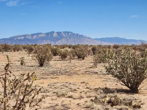 Residential Investment Lot