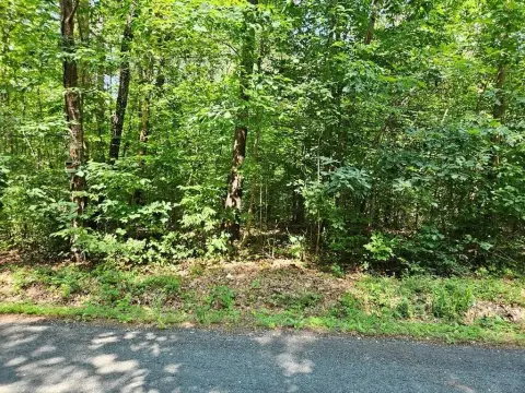 Wooded Residential Land Parcel