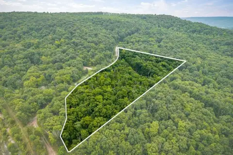 Wooded Recreation Land with Road Access