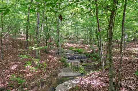 198+ Acres in Oglethorpe County