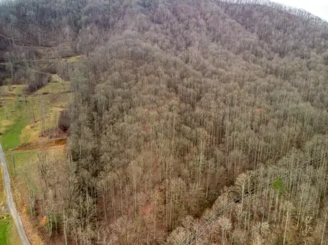Unrestricted Land Near Fontana Lake