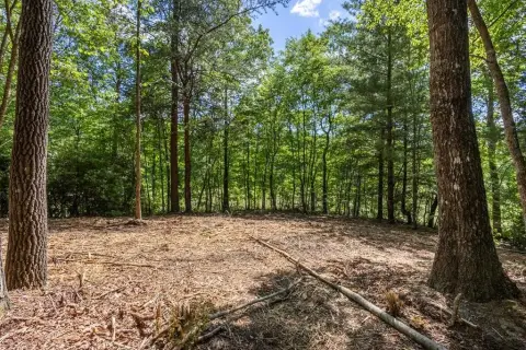 Unrestricted Land in Murphy, NC