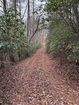 Wooded Lot Near Murphy, NC
