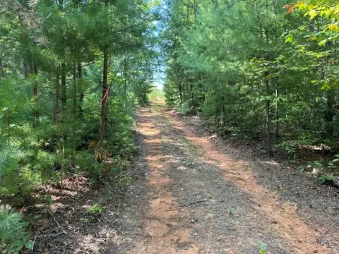 Whiskey Mountain Land For Sale