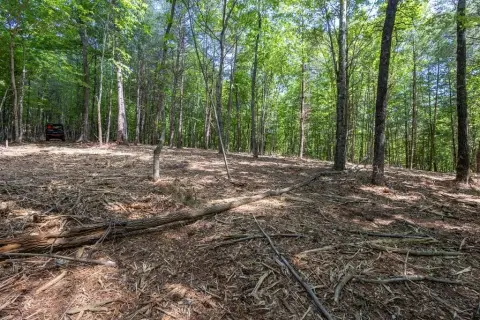 Unrestricted Mountain Land in Murphy