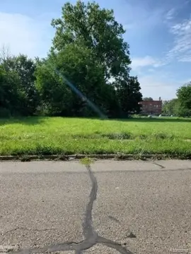 Detroit Vacant Land Opportunity